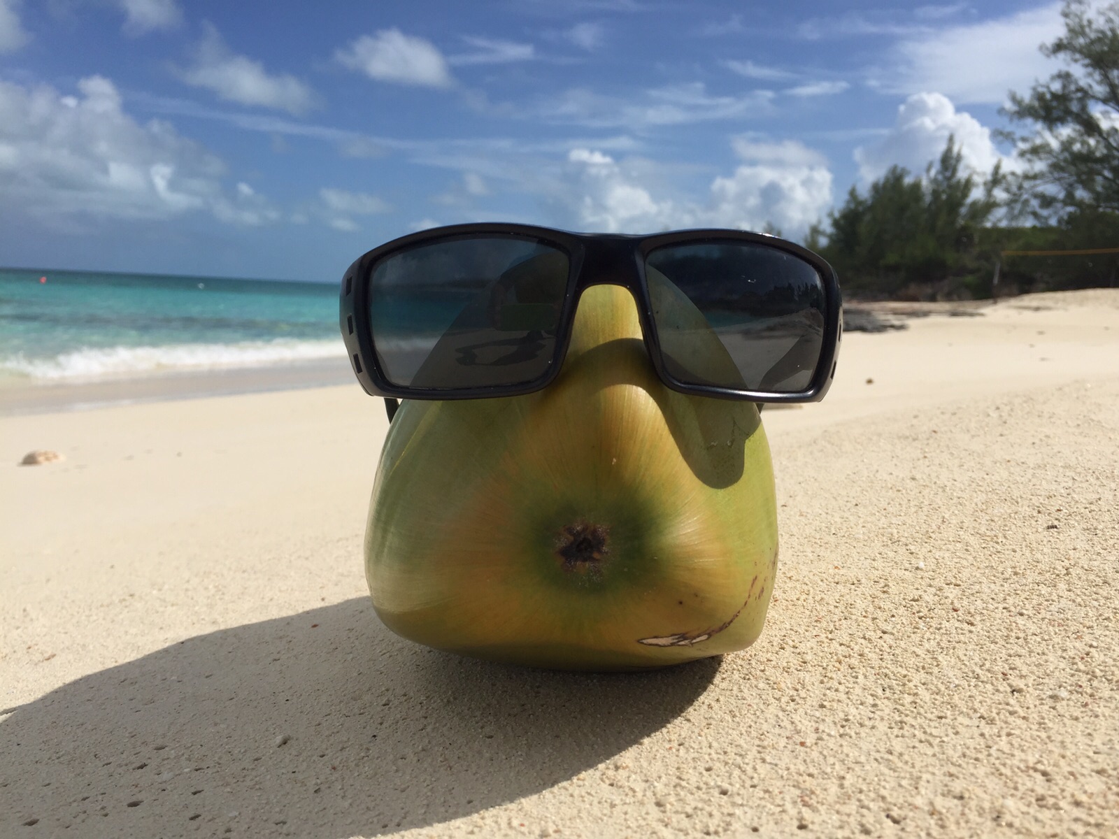 Best Tips For Cruise Ship Visitors to Nassau Bahamas by Coco