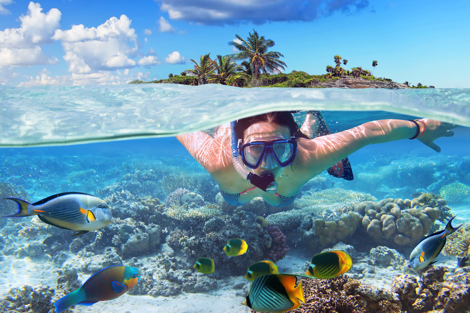 Make the Most of Your Trip: 8 Must-See Attractions in the Bahamas