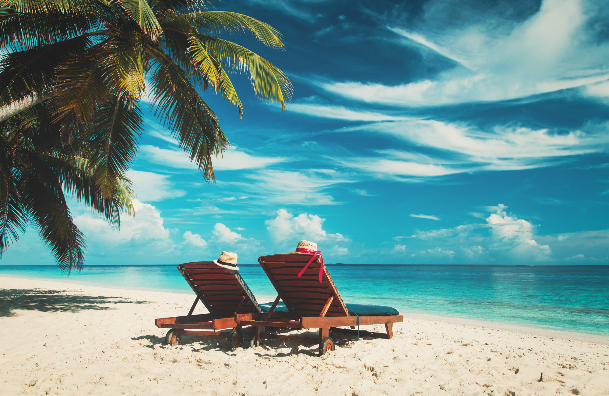 12 Totally Unique and Fun Things to Do in the Bahamas
